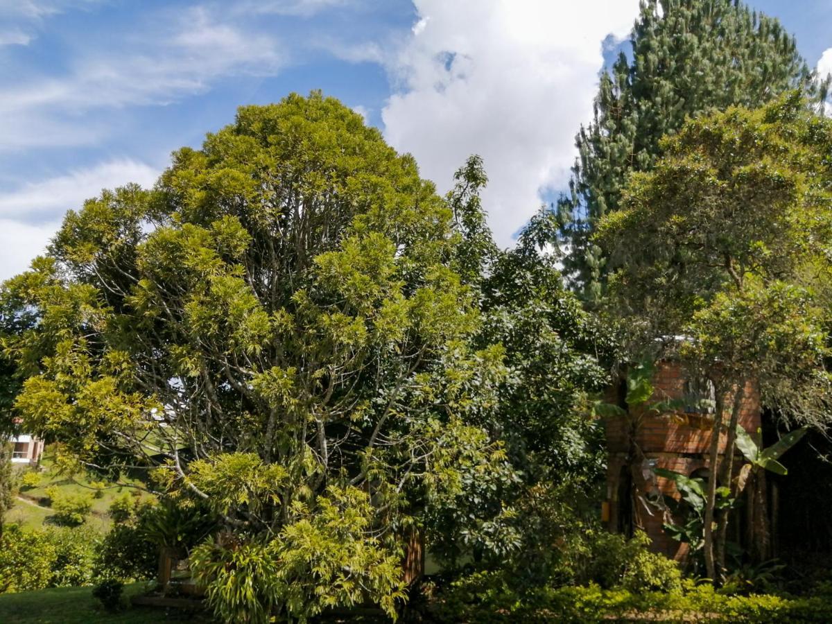 Hotel Hevilat Paraiso De Oriente Rionegro Bagian luar foto